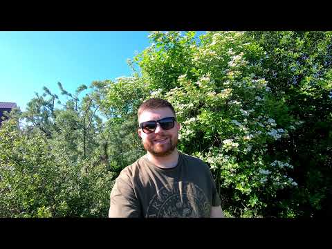 Видео: Петряксы. Родной дом. - 2021 г.