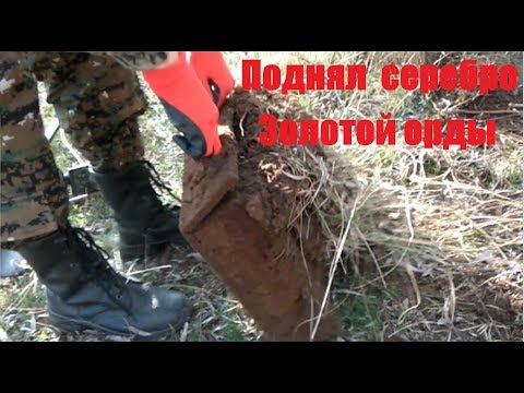 Видео: Откопал серебро Золотой Орды с Quest Q20. #камрадыч