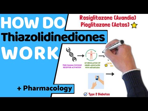 Видео: Как действуют тиазолидиндионы (ТЗД)? (EASY Pharmacology)