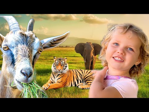 Видео: Лиза и ее друзья на ферме