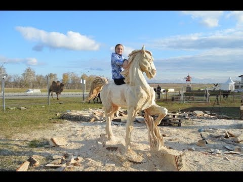 Видео: Выпуск № 038. Битва бензопил.