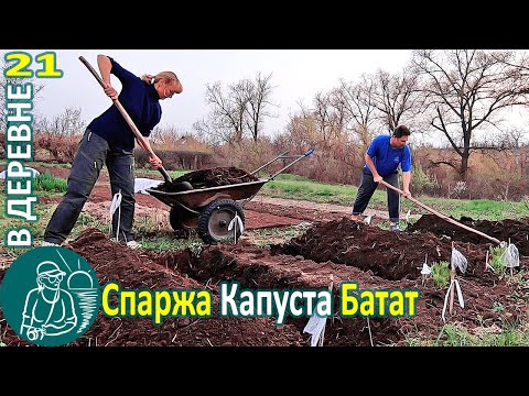 Видео: 🥦 Посадка: спаржи, капусты, батата ❄ Заморозки и парники 🏡 Жизнь Гордеевых в деревне - Влог 21