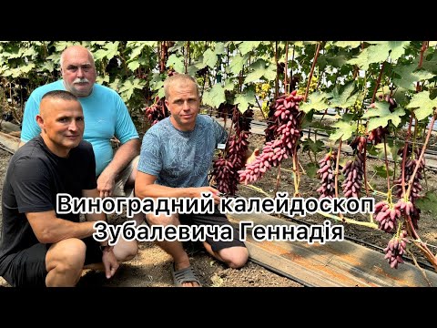 Видео: #149-1 (фільм 1 з 2) В гостях у Ткаченко Дмитра (20.07.2025)