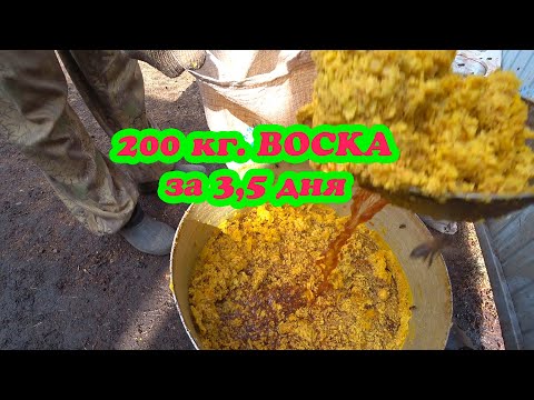 Видео: ПЕРЕТОПКА ВОСКОСЫРЬЯ НА НАШЕЙ ПАСЕКЕ, 200 КГ  ВОСКА ЗА ТРИ С ПОЛОВИНОЙ ДНЯ, ЗАЦВЕЛА ВЕРБА