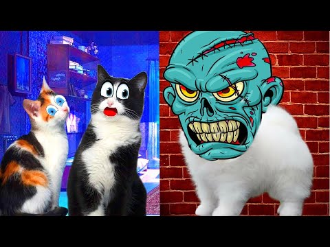 Видео: Шанель ПРЕВРАТИЛАСЬ в СТРАШНОГО Монстра!!!