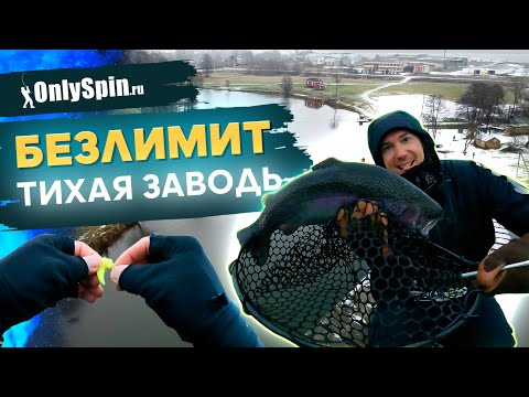 Видео: БЕЗЛИМИТ Тихая заводь. ЛОВЛЯ ФОРЕЛИ на спиннинг. Рыбалка с #OnlySpin