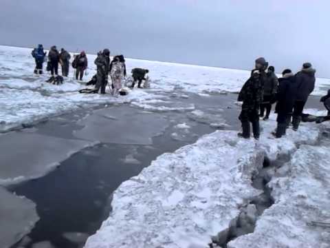 Видео: Откололся ЛЕД с рыбаками. ШОК. Это Сахалин Детка! / Сахалинская рыбалка