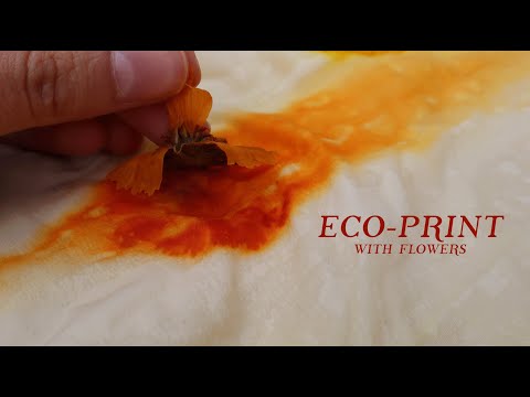 Видео: ЭКОПРИНТ с цветами из моего сада | Цветы бархатцев и кореопсиса | Натуральный краситель | Ботанич...