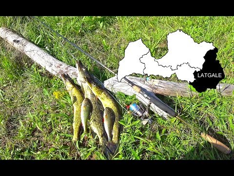 Видео: ЛАТГАЛЬСКАЯ РЫБАЛКА! Край голубых озер, больших щук и прекрасного отдыха! РЫБАЛКА В ЛАТВИИ🇱🇻