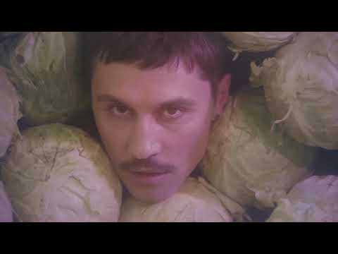 Видео: Дима Билан - ПРО БЕЛЫЕ РОЗЫ ( премьера клипа 2019 ) | без лишних кадров | Тимми ДАК 2