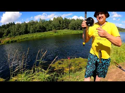 Видео: НЕУДАЧНАЯ РЫБАЛКА НА РЕКЕ ЛУГА