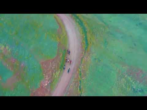 Видео: АТ ЧАБЫШ ТОКТОГУЛ РАЙОНУ САРЫ КАМЫШ АЙЫЛЫ