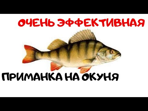 Видео: ХОРОШИЙ СТРИМЕР И  ВСЕГДА БУДЕШЬ С РЫБОЙ