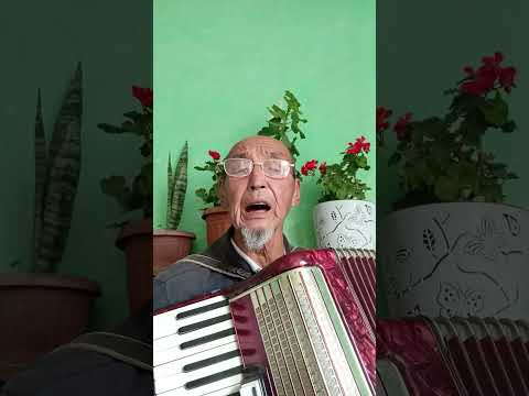 Видео: 29 октября 2025 г.