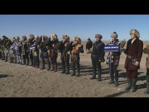 Видео: Қызылорда облысында құсбегілер арасында ел чемпионаты өтті