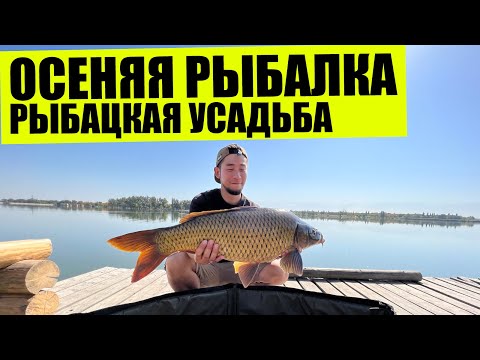 Видео: Осеняя рыбалка на озере "Рыбацкая усадьба", ловля осеннего карпа за сутки. Рыбалка близ Алматы 2022