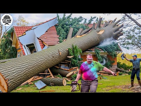Видео: Опасные идиоты, рубящие деревья, не справляются с навыками работы с бензопилой | Падение деревьев...