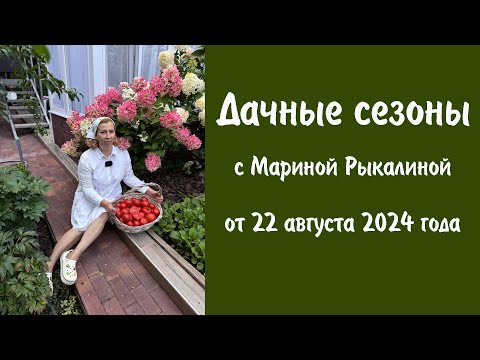 Видео: Дачные сезоны с Мариной Рыкалиной от 22 августа 2024 года