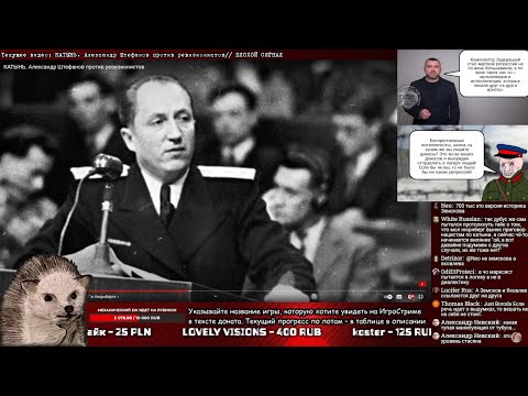 Видео: Еж помогает заблудившемуся Тубусу выбраться из Катынского леса