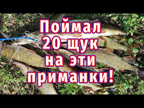Видео: Поймал 20 щук с Одного места на эти приманки!