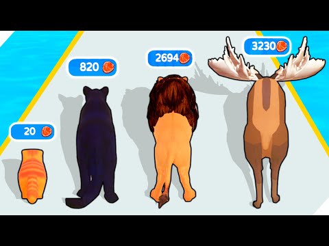 Видео: ЭВОЛЮЦИЯ КОТИКА, МАКСИМАЛЬНЫЙ УРОВЕНЬ! Cat Evolution