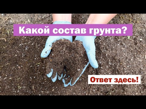 Видео: ПРОСТОЙ РЕЦЕПТ плодородного грунта для метельчатой гортензии: КАК Я ЕГО ЗАМЕШИВАЮ?