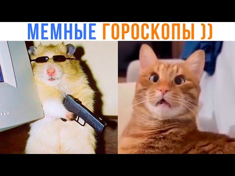 Видео: МЕМНЫЕ ГОРОСКОПЫ ))) Кто ты из Винкс?) Приколы | Мемозг 1607