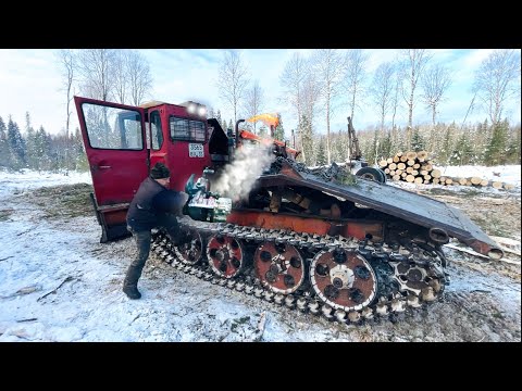 Видео: Заклинил ПУСКАЧ на ТДТ 55 Трелевочник в Лесу! Это конец?