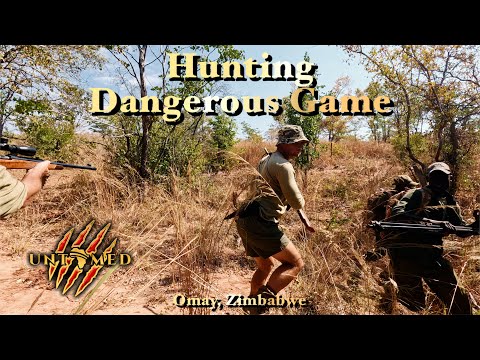 Видео: Африканские буйволы, ЧЕРНЫЕ МАМБЫ и ГИГАНТСКИЕ крокодилы с Dalton & York Safaris!!!