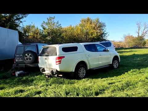 Видео: Хищник. Каневская.Тренировка перед соревнованиями. 