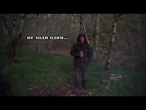 Видео: 6 Самых Жутких Встреч на Кемпинге, Снятых На Камеру