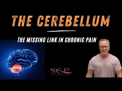 Видео: Мозжечок: недостающее звено в хронической боли