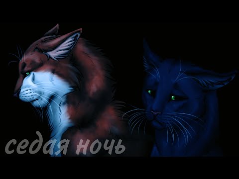Видео: Коты воители: Листвичка и Остролистая " Седая ночь" клип