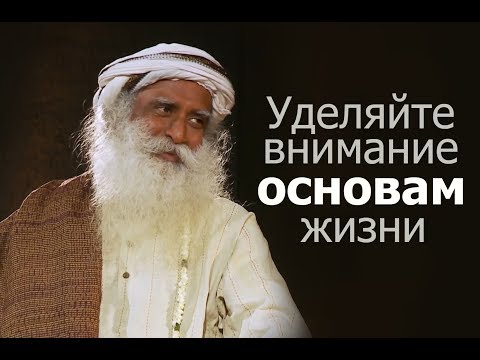 Видео: Уделяйте внимание основам жизни — Садхгуру