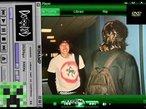 Видео: DISDEAD - Собачьи челюсти