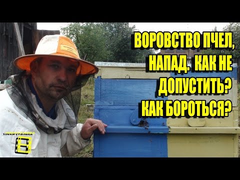 Видео: ВОРОВСТВО НА ПАСЕКЕ. НАПАД ПЧЕЛ. КАК НЕ ДОПУСТИТЬ? ПОДКОРМКА. ЛЮБИТЕЛЬСКОЕ ПЧЕЛОВОДСТВО С "0"