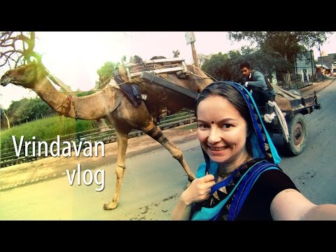 Видео: Самое удивительное место в Индии - Вриндаван. Индия | день15.