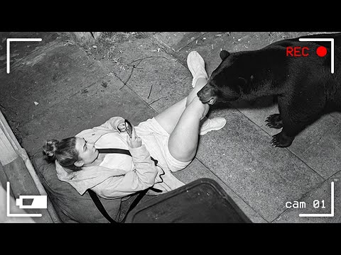 Видео: 75 НЕВЕРОЯТНЫХ МОМЕНТОВ, СНЯТЫХ НА ЗАДНЕМ ДВОРЕ