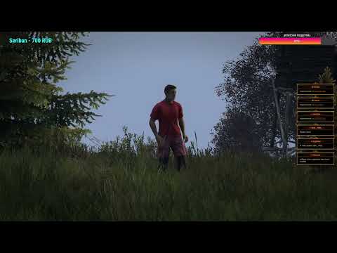 Видео: TWOC PVE, обзор ➤ #TWOCPVE #DayZ