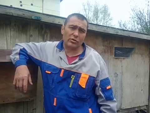 Видео: САМОЕ НЕ ВЫГОДНОЕ СОДЕРЖАНИЕ КРОЛИКОВ! НАС 25000!