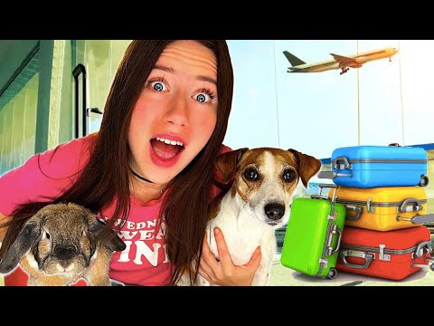 Видео: МОИ ПИТОМЦЫ ЛЕТЯТ В Дубай - Собираю Вещи Собаки Джины и Кролика Эльзы | Elli Di Pets
