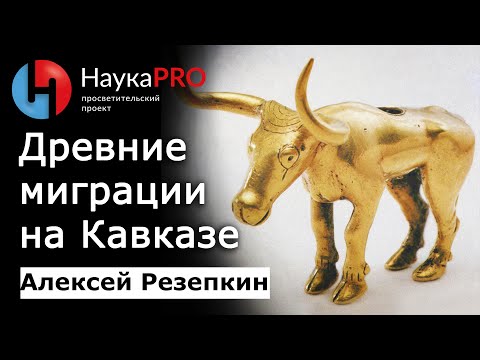 Видео: Древние миграции на Северном Кавказе – Алексей Резепкин | Научпоп | Лекции по археологии