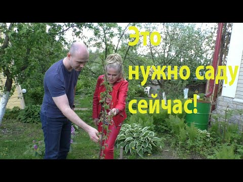 Видео: Натуральные средства для сада