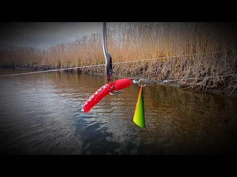 Видео: СУПЕР УЛОВИСТАЯ НОВИНКА ДЛЯ ВСЕЙ РЫБЫ. Рыбалка на ГРУШКУ.