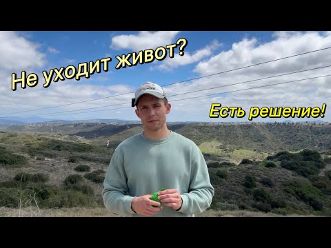 Видео: Ты можешь качать пресс хоть каждый день — живот всё равно будет торчать. Вот почему.)