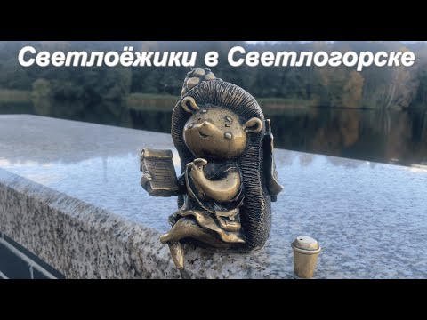 Видео: Гуляем вокруг Тихого озера и ищем светлоёжиков в Светлогорске