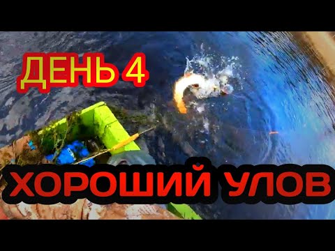 Видео: Весенняя Рыбалка сетями на Лесном Озере | День 4