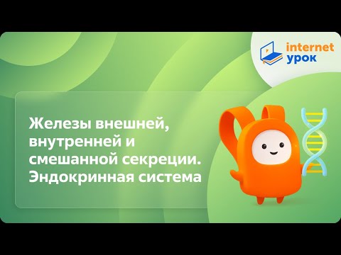 Видео: Железы внешней, внутренней и смешанной секреции. Эндокринная система. Видеоурок по биологии 8 класс