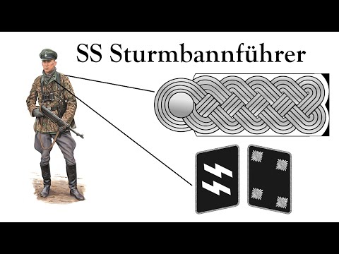 Видео: Все звания Ваффен СС по порядку | Погоны и петлицы Waffen SS | Знаки различия войск СС