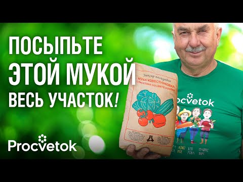 Видео: РАЗ В 10 ЛЕТ РАССЫПАЮ ЭТУ МУКУ ПО ВСЕМУ УЧАСТКУ, и почва становится плодородной и без вредителей